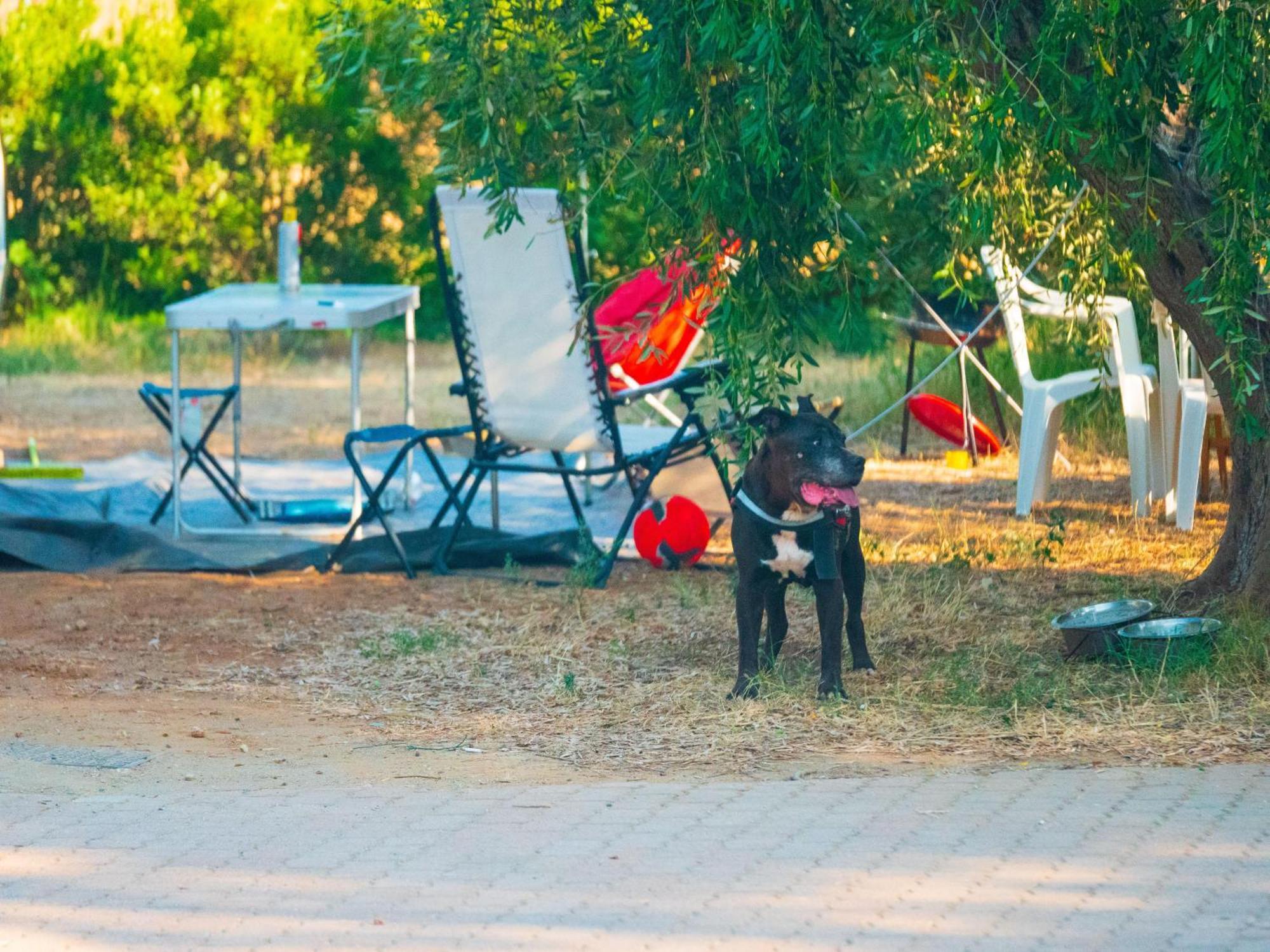 Gitavillage טלאמונה מראה חיצוני תמונה